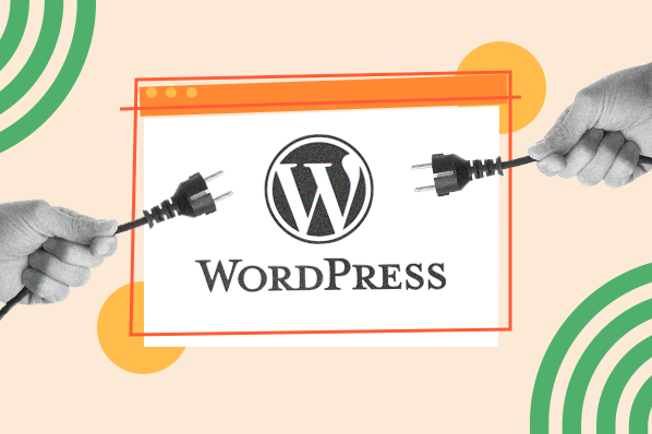 Wordpress Plugins & Themes Image